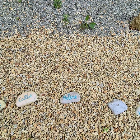Holiday home Premium Penty In A Quiet Location Near The Beach, Cleaning Included *
